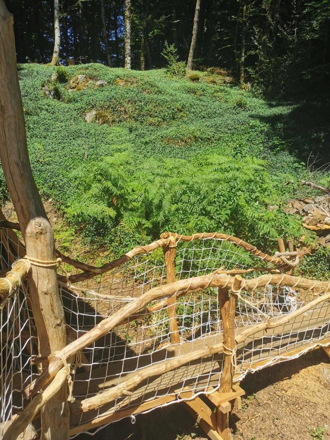 Gite Nature Au Pied Des Hetres Vitrac-sur-Montane Luaran gambar